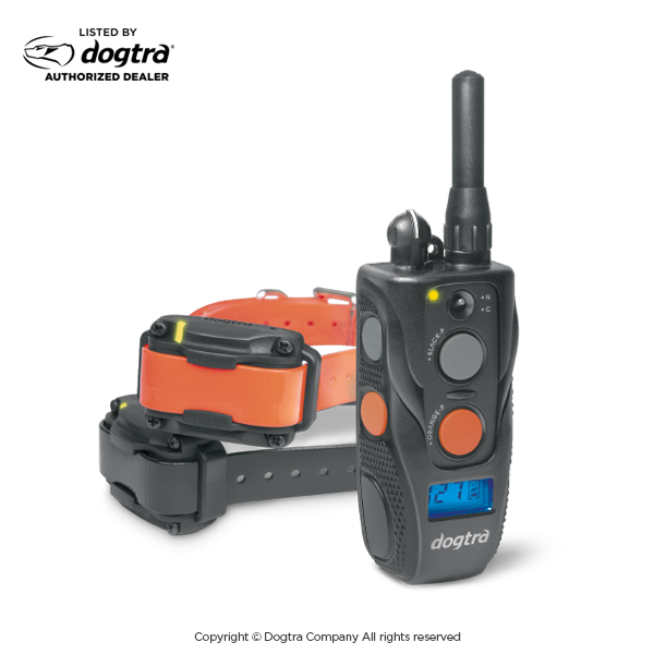 Dogtra 2000 outlet